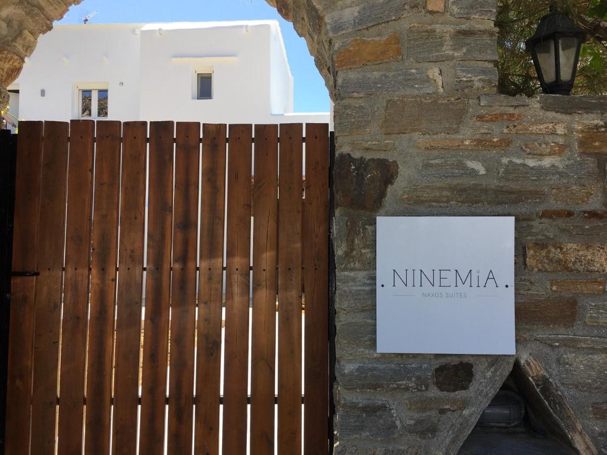 Ninemia Naxos Suites Agios Thaleleos Eksteriør billede